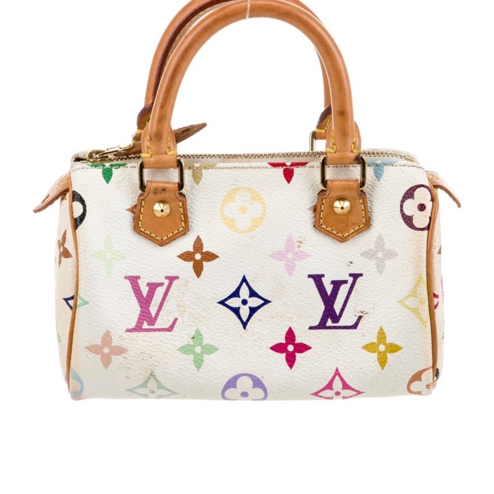 Louis Vuitton Multicolor Monogram Speedy HL